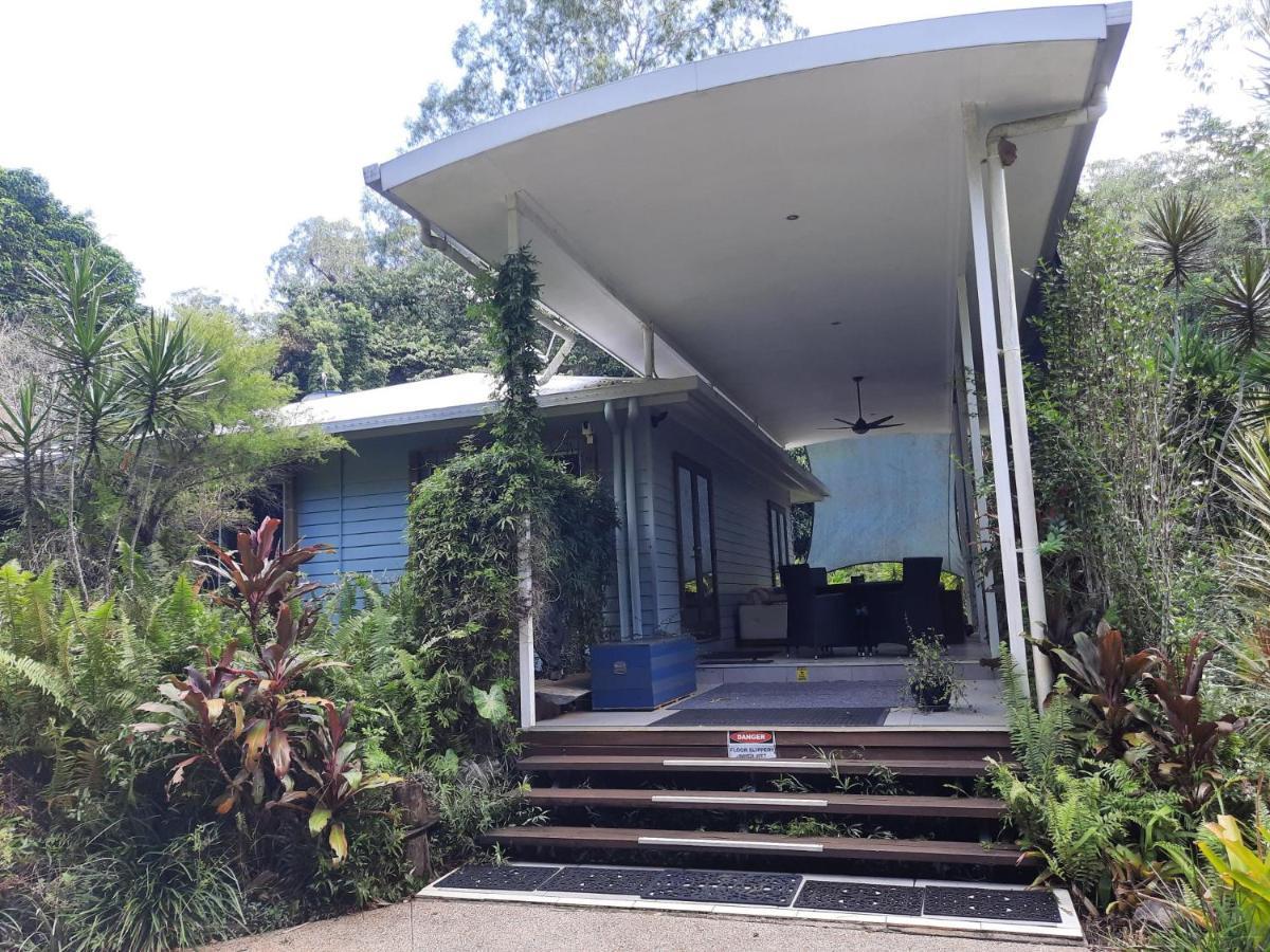 Daintree Rainforest Accommodation Cow Bay 外观 照片