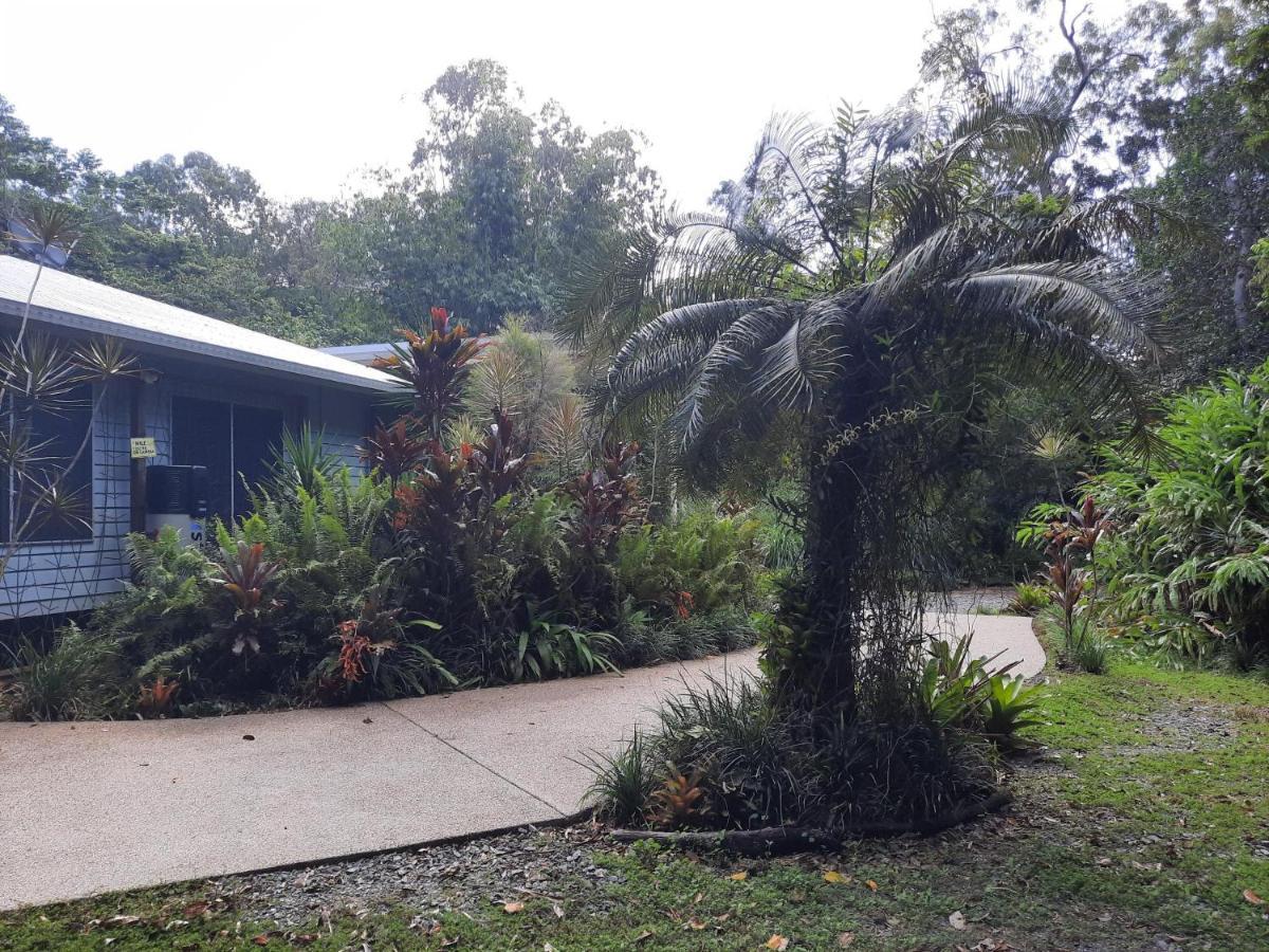 Daintree Rainforest Accommodation Cow Bay 外观 照片