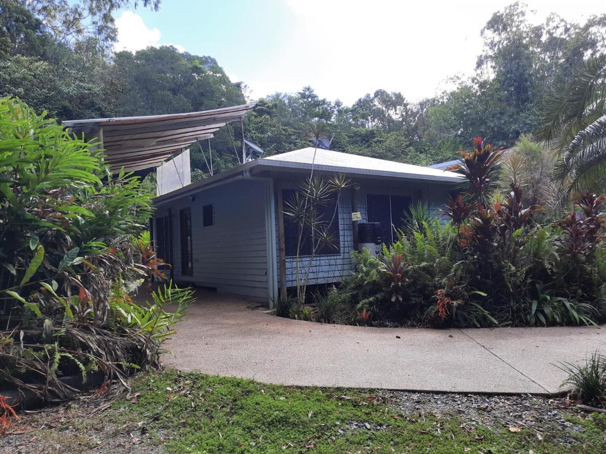 Daintree Rainforest Accommodation Cow Bay 外观 照片